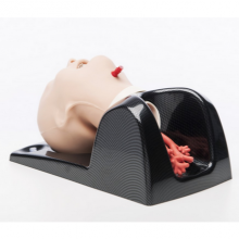 Trucorp Airsim child bronchi